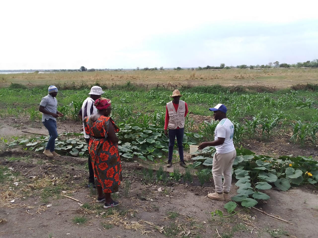 160 Organizações de Productores serão formadas em agricultura de conservação e em meios de subsistência alternativos.